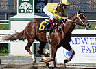 Trinity Magic's Earnings to Aid Charity