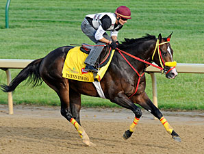 Derby Hopeful Trinniberg Full of Surprises Derby Hopeful Trinniberg Full of Surprises