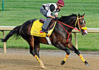 Derby Hopeful Trinniberg Full of Surprises 
