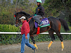 Connections Hope Trinniberg's Best Emerges Connections Hope Trinniberg's Best Emerges