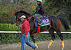 Connections Hope Trinniberg's Best Emerges Connections Hope Trinniberg's Best Emerges