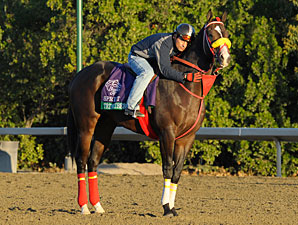Trinniberg Hopes for Six-Furlong Breakthrough