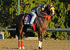 Trinniberg Hopes for Six-Furlong Breakthrough Trinniberg Hopes for Six-Furlong Breakthrough