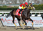 Trinniberg Posts Sharp Saratoga Gate Move Trinniberg Posts Sharp Saratoga Gate Move