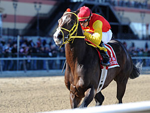 Trinniberg Now Likely For Derby Trinniberg Now Likely For Derby