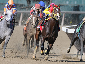 Trinniberg Likely to Pass Kentucky Derby Trinniberg Likely to Pass Kentucky Derby