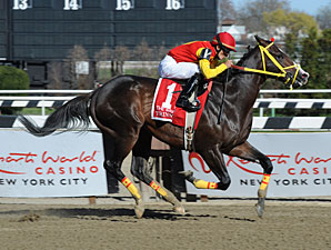 Trinniberg Cuts Back in Woody Stephens Stakes Trinniberg Cuts Back in Woody Stephens Stakes
