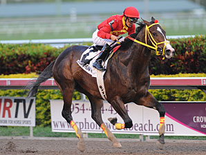 Bay Shore: Trinniberg Auditions for KY Derby Bay Shore: Trinniberg Auditions for KY Derby