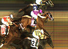 Triple Dead Heat for Win at Evangeline Downs Triple Dead Heat for Win at Evangeline Downs