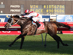 Boss Back From Hong Kong for Another Win Boss Back From Hong Kong for Another Win