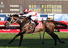 Boss Back From Hong Kong for Another Win Boss Back From Hong Kong for Another Win