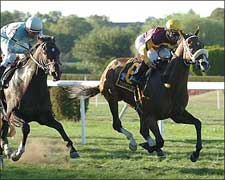 Trippi's Storm - NetJets Breeders' Cup Mile Trippi's Storm - NetJets Breeders' Cup Mile