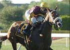 Trippi's Storm - NetJets Breeders' Cup Mile Trippi's Storm - NetJets Breeders' Cup Mile