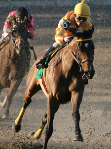 Super Derby Prelude Draws 11