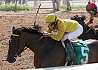 Trubs Digs in to Take Super Derby Prelude