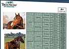 New Key Ancestors Report from TrueNicks