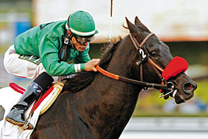 Graded Winner Truly a Judge Retired Graded Winner Truly a Judge Retired