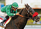 Graded Winner Truly a Judge Retired Graded Winner Truly a Judge Retired