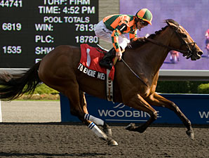 Canadian Champion Filly Tu Endie Wei Dead Canadian Champion Filly Tu Endie Wei Dead