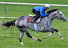 Breeders' Cup Hopefuls in Quick Workouts