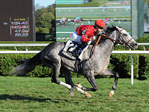 Turallure, Wise Dan Get Back to Work Turallure, Wise Dan Get Back to Work