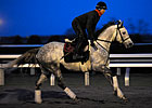 Turallure Enters Salty Keeneland Allowance