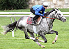 Turallure Works Five Furlongs at Keeneland