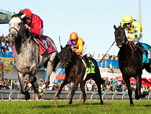 Turallure Finds Room in Wild Woodbine Mile Turallure Finds Room in Wild Woodbine Mile