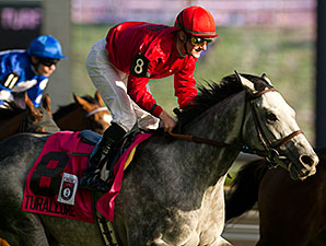 Millionaire Turallure Euthanized Millionaire Turallure Euthanized