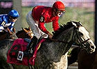 Millionaire Turallure Euthanized Millionaire Turallure Euthanized