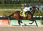 'Turbo' Powers Florida Millions Day at Calder