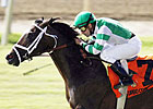 Pletcher Seeks 4th U.N. With Turbo Compressor Pletcher Seeks 4th U.N. With Turbo Compressor