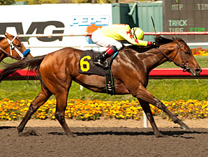 Turbulent Descent Gets Season Started in Win Turbulent Descent Gets Season Started in Win