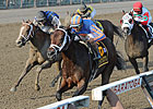 Featured Horse Profile: Turbulent Descent Featured Horse Profile: Turbulent Descent