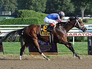 Grade I Winner Turbulent Descent Retired Grade I Winner Turbulent Descent Retired