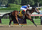 Grade I Winner Turbulent Descent Retired Grade I Winner Turbulent Descent Retired