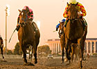 Turbulent Descent Shakes Loose in Starlet