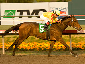 Turbulent Descent Tries Dirt in Las Virgenes Turbulent Descent Tries Dirt in Las Virgenes