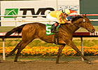 Turbulent Descent Tries Dirt in Las Virgenes Turbulent Descent Tries Dirt in Las Virgenes