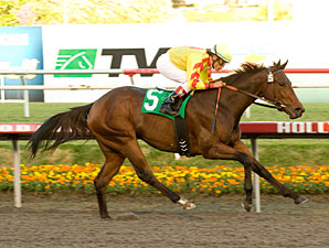 Turbulent Descent Dazzles in Moccasin Stakes Turbulent Descent Dazzles in Moccasin Stakes