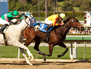 Turbulent Descent Back On Top in SA Oaks Win Turbulent Descent Back On Top in SA Oaks Win