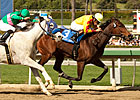 Turbulent Descent Back On Top in SA Oaks Win Turbulent Descent Back On Top in SA Oaks Win