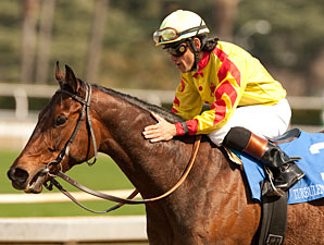 Puype Says He'll Miss Filly Turbulent Descent Puype Says He'll Miss Filly Turbulent Descent