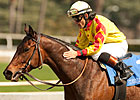 Puype Says He'll Miss Filly Turbulent Descent Puype Says He'll Miss Filly Turbulent Descent