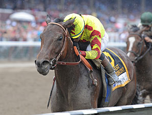 Turbulent Descent Favored in F&M Sprint Turbulent Descent Favored in F&M Sprint