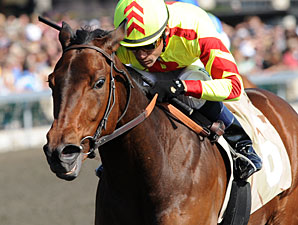 Turbulent Descent Soars to Beaumont Triumph Turbulent Descent Soars to Beaumont Triumph