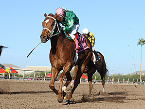 Turf Paradise Cancels Third Straight Day