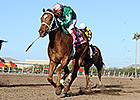 Turf Paradise Cancels Third Straight Day Turf Paradise Cancels Third Straight Day
