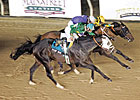 Turf War Headed to WinStar Derby? Turf War Headed to WinStar Derby?