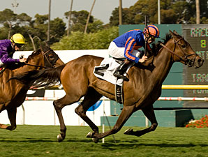 Turning Top Spins Away in Beverly Hills Turning Top Spins Away in Beverly Hills